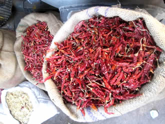 Indian Chillies at Ozark